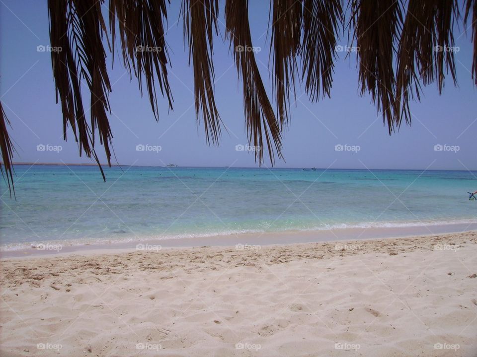 Beach Egypt