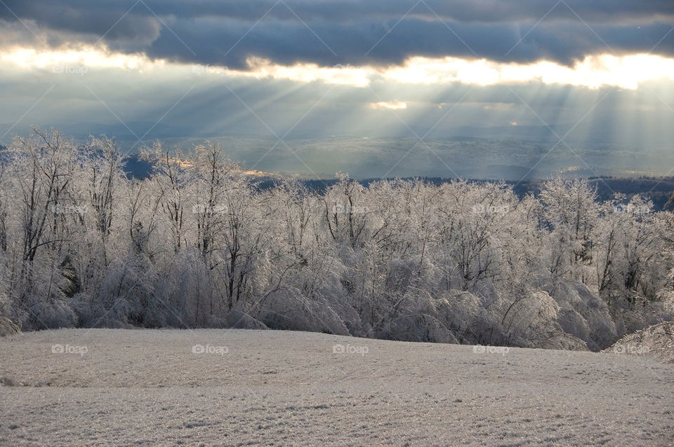 An ice encased field after an ice storm at sunset