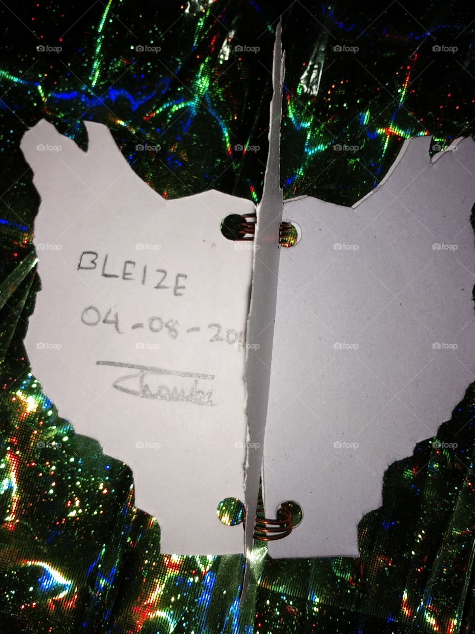 the face book of the country BLEIZE.
it's the first book entire the worldwide on it and no one like this in the world till now.
if you want to earn money with it you should download it's first photograph at the first sight and keep it and share it.