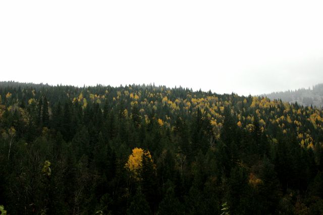 sky