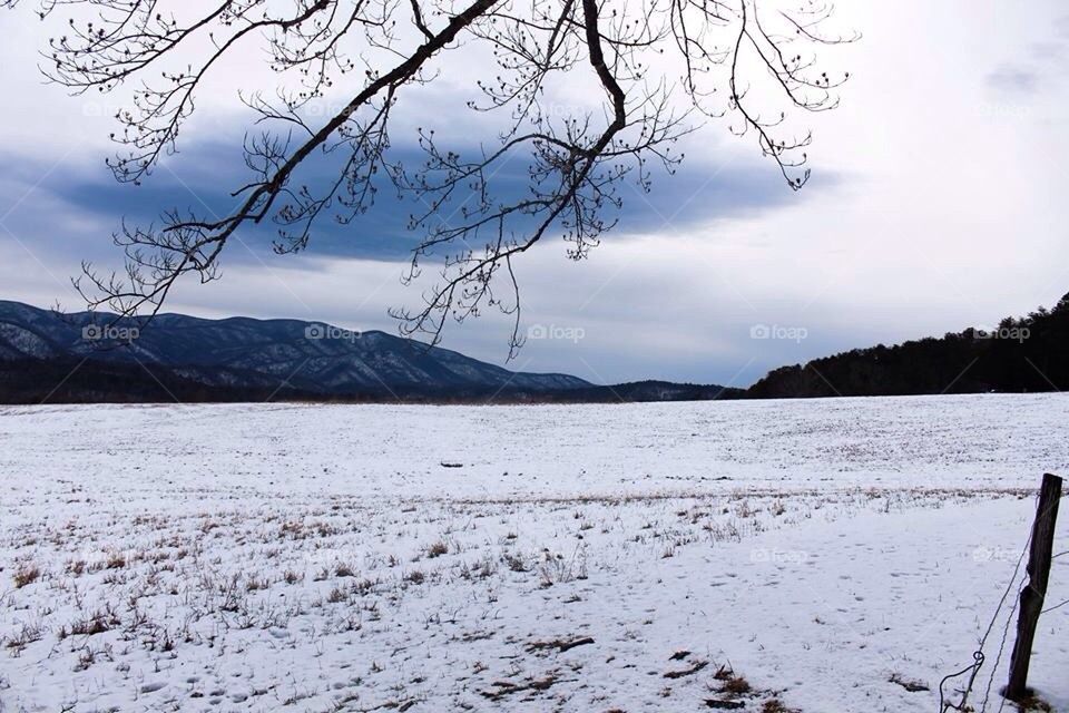 Snow Covered Field