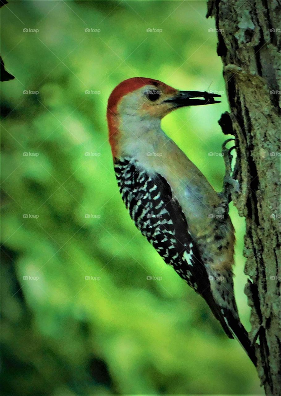 when hoarding pays off 🙂