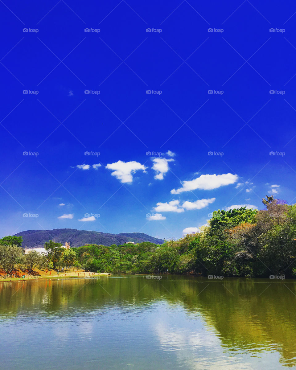 Jardim Botânico Eloy Chaves em cores vibrantes, aqui na cidade de #Jundiaí.
Como não se inspirar com a #Natureza?
📸
#FOTOGRAFIAéNOSSOhobby
#pictureoftheday #photography #paisagem #landcapes #photo