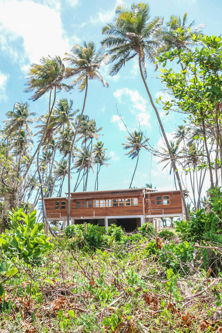 Caribbean Beach house