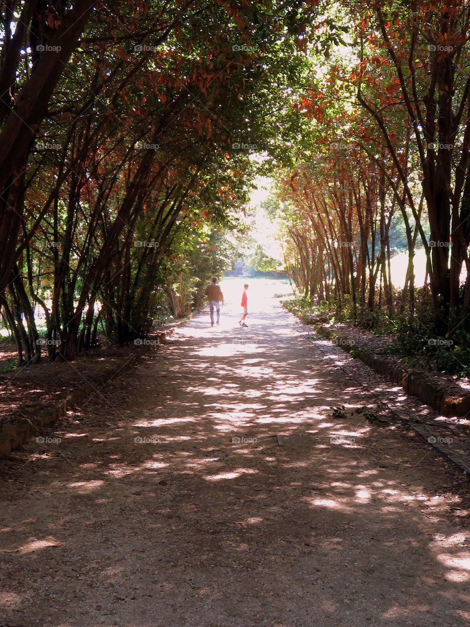 blurred people in a shady autumn pathway