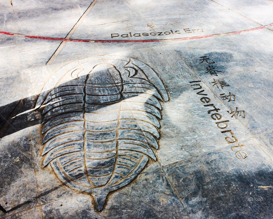 Carved ground on stone in Zhangjiajie national park China 