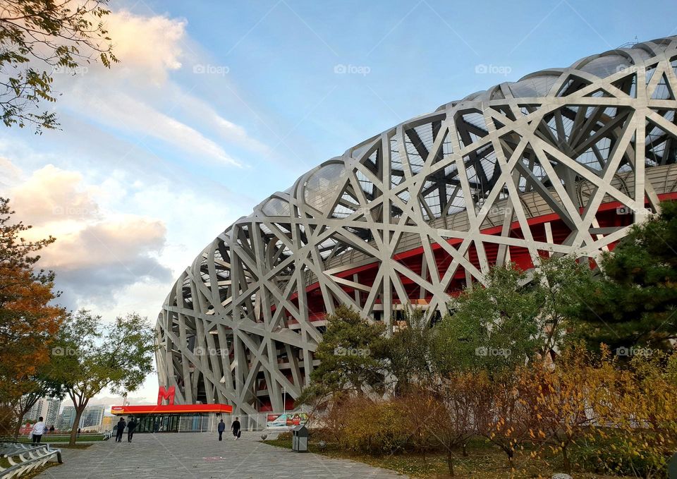 birds nest, china