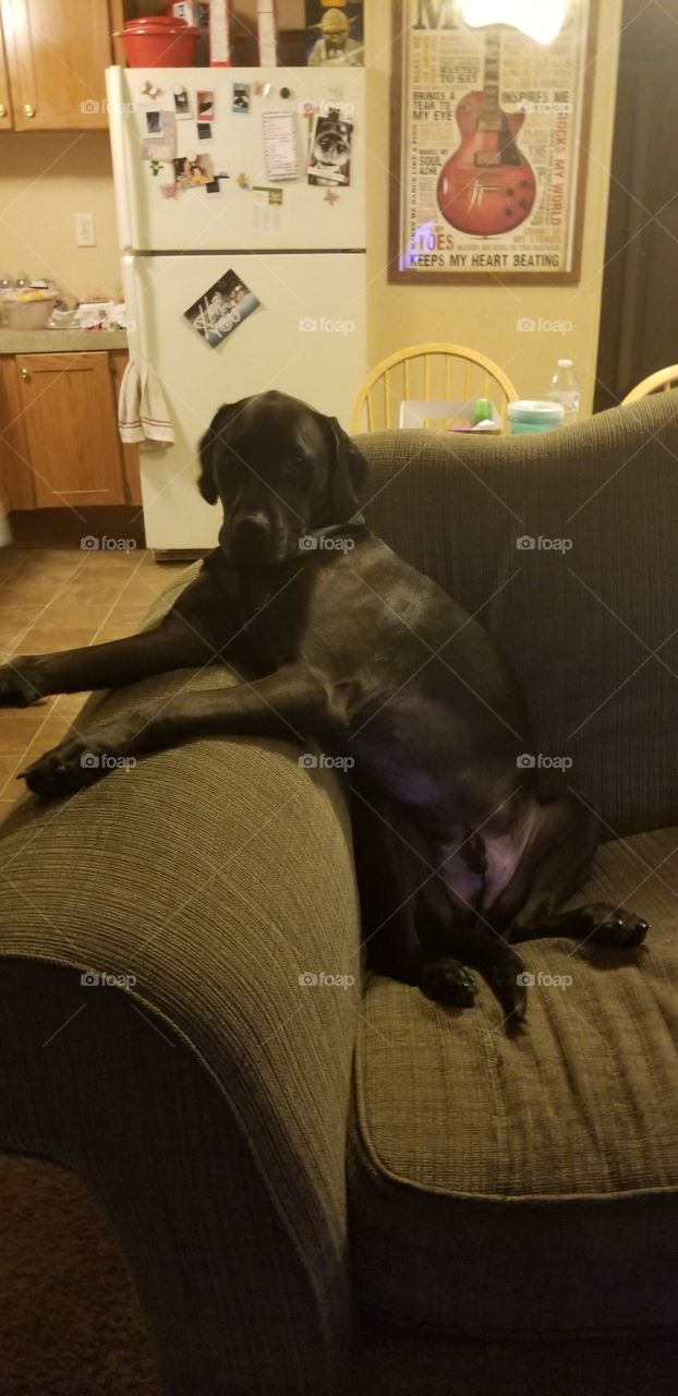 watching some baseball