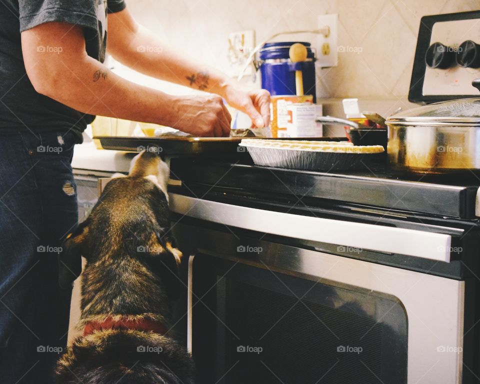 Man with his dog cooking food in kitchen