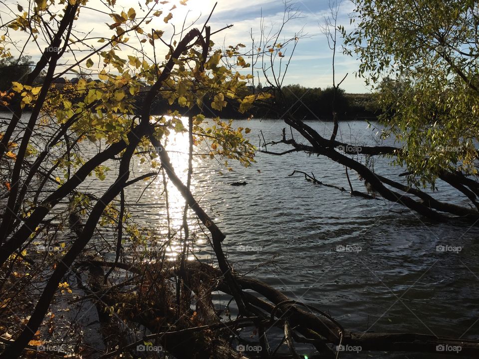 «Autumn is the time of picturesque tranquility» Sir Kristian Goldmund Aumann