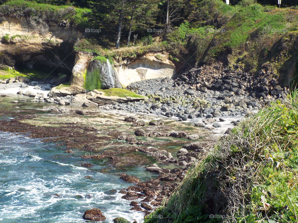 Oregon coast
