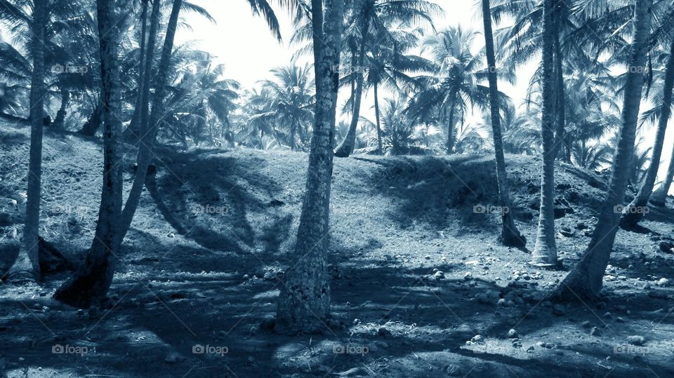 Brazilian paradise in Black&White