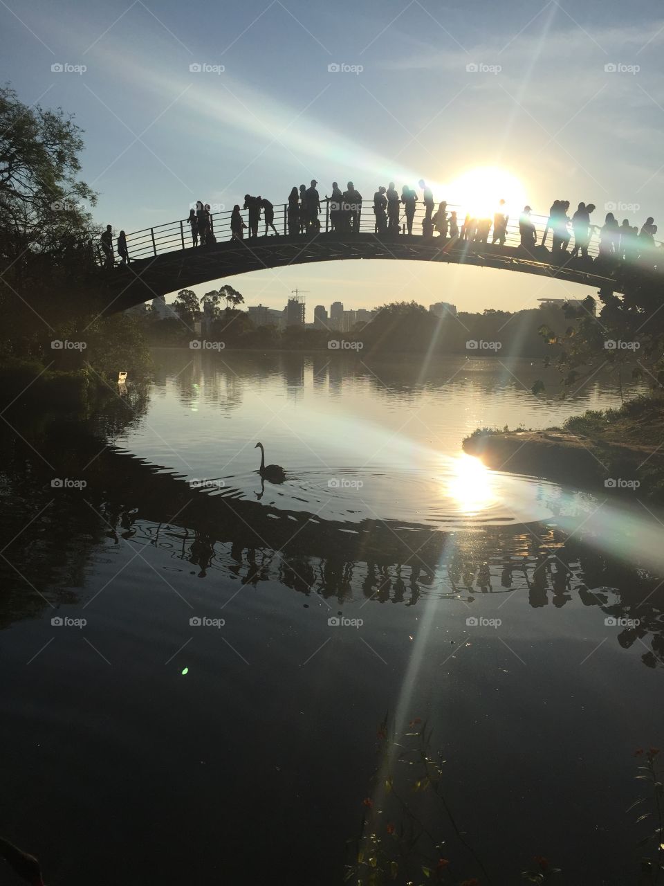 Over the bridge, under the bridge