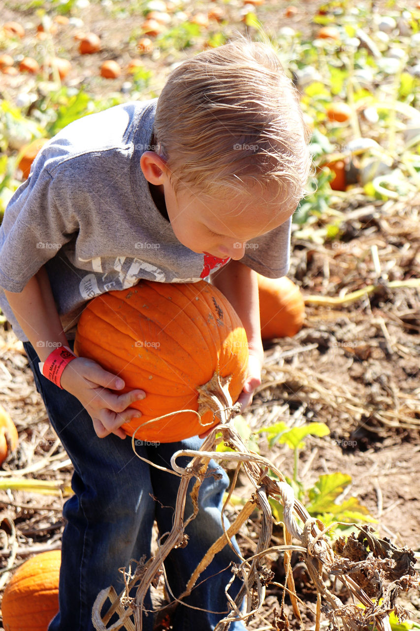 Pumpkins