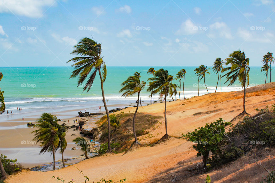 Beautiful beach with coconut palms and turquoise sea