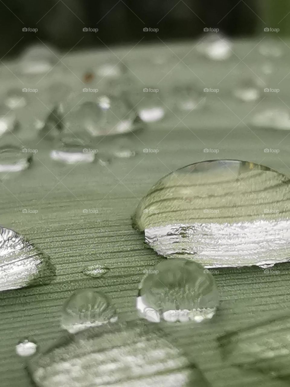 gota de agua encima de una hoja