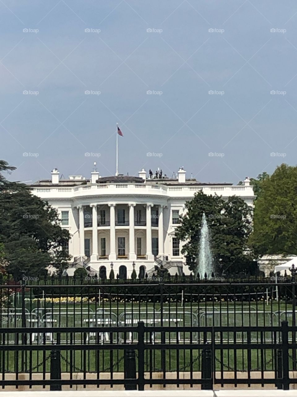 The White House