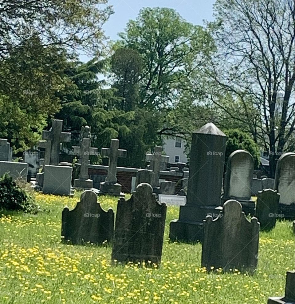 Old graveyard Norfolk, Va 