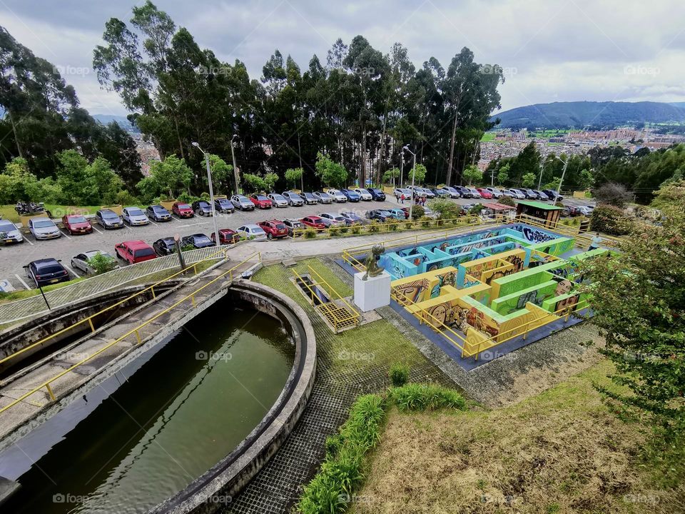 A forest on the earth day