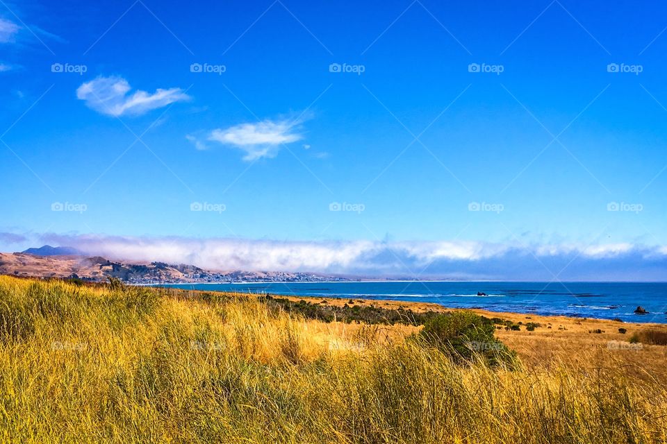 The fog rolls in off the California coast