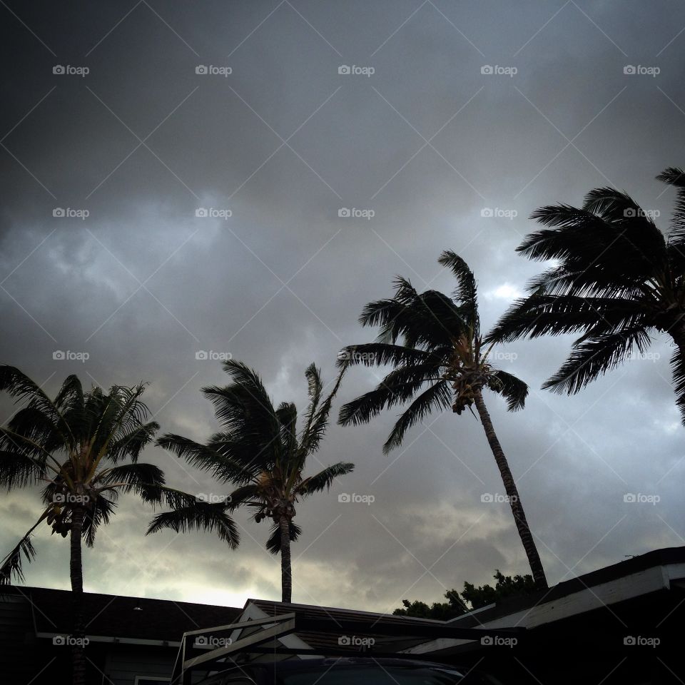 And the storm cometh.