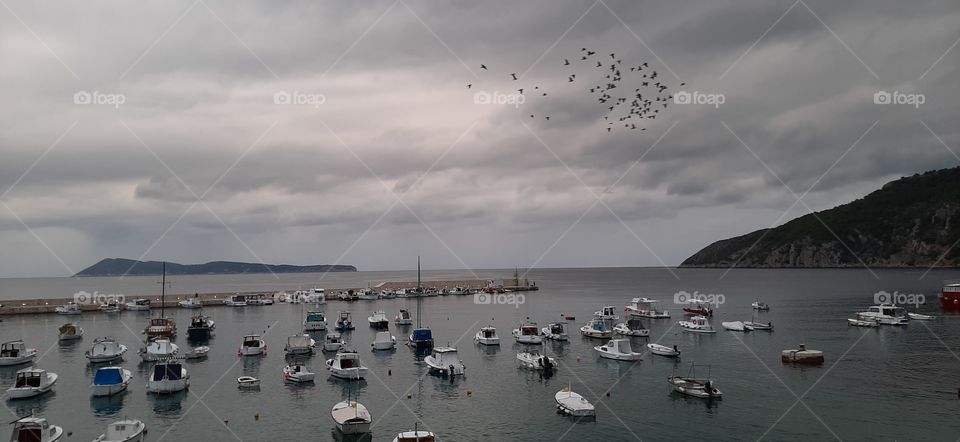 Komiža city Island Vis