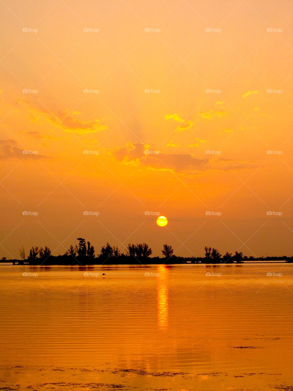 Beautiful view of sunset in Florida 