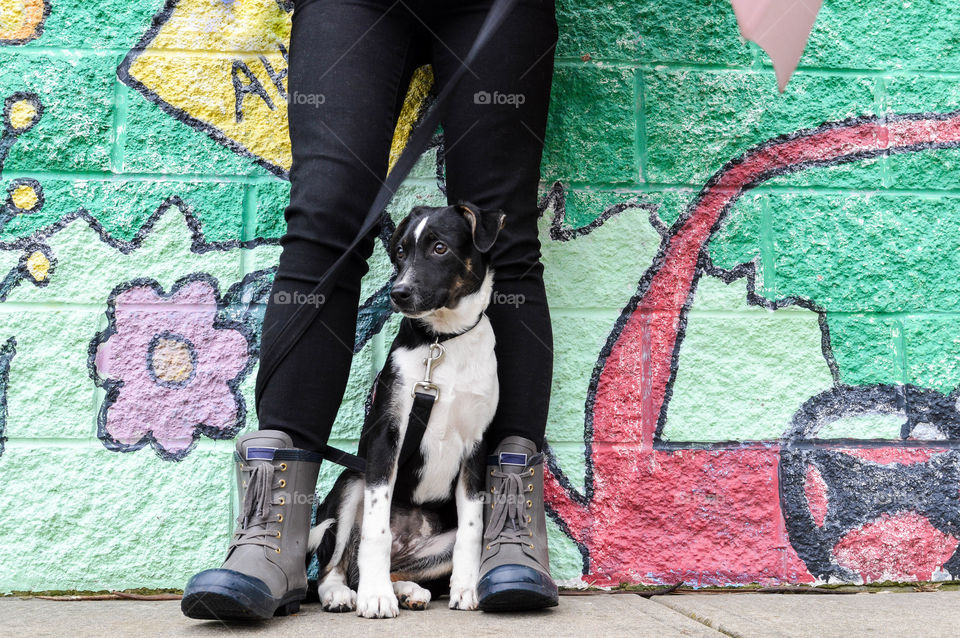 Woman standing outdoors with her puppy on a leash in an urban setting