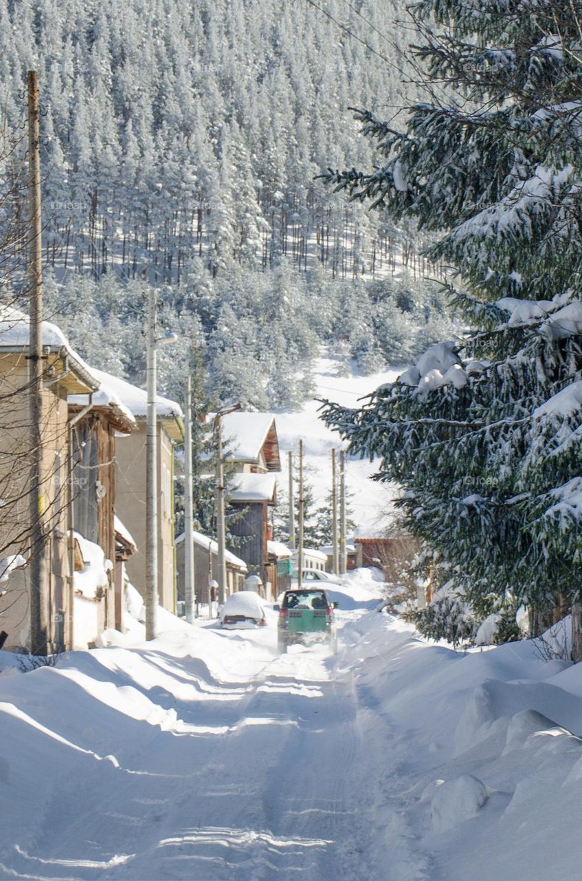 Winter landscape, Ravnogor Village, Bulgaria