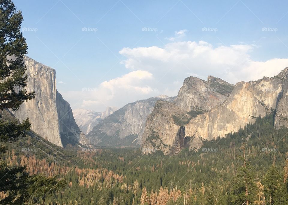Sunny summer day in the Yosemite Park