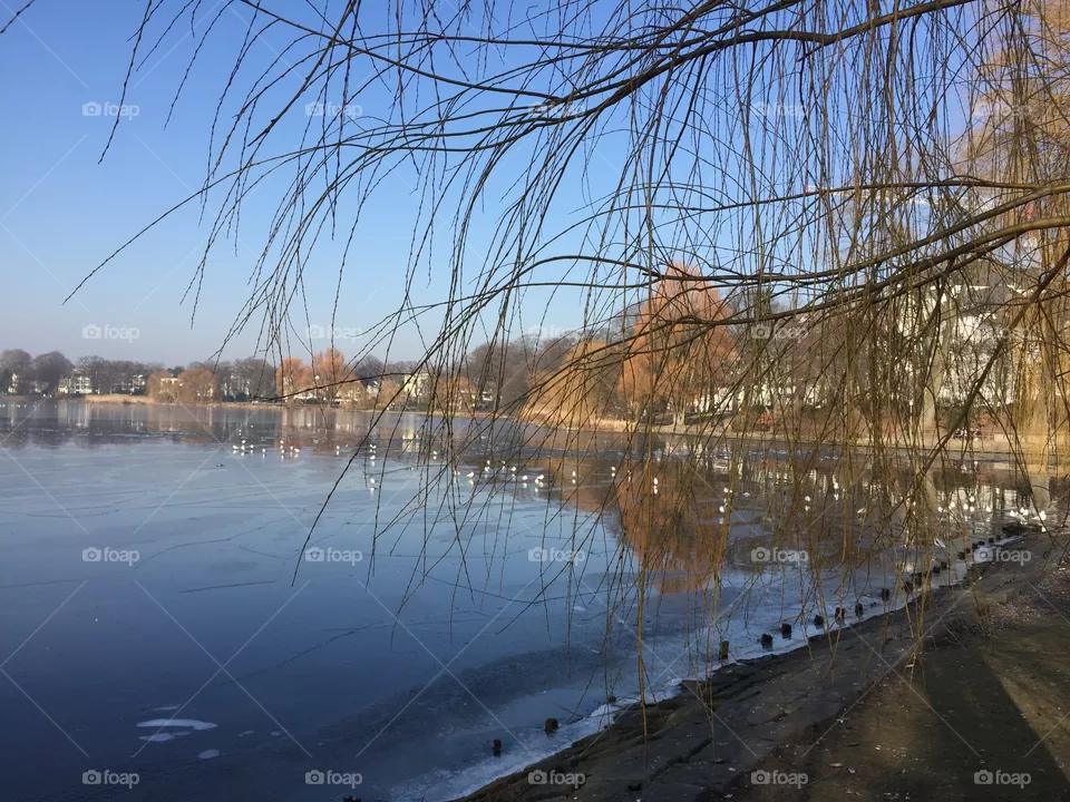 Alster