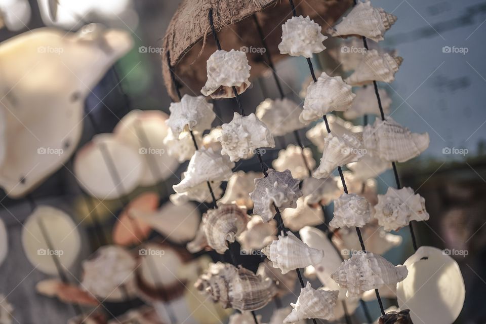 Detail of a dream catcher made of sea shells.