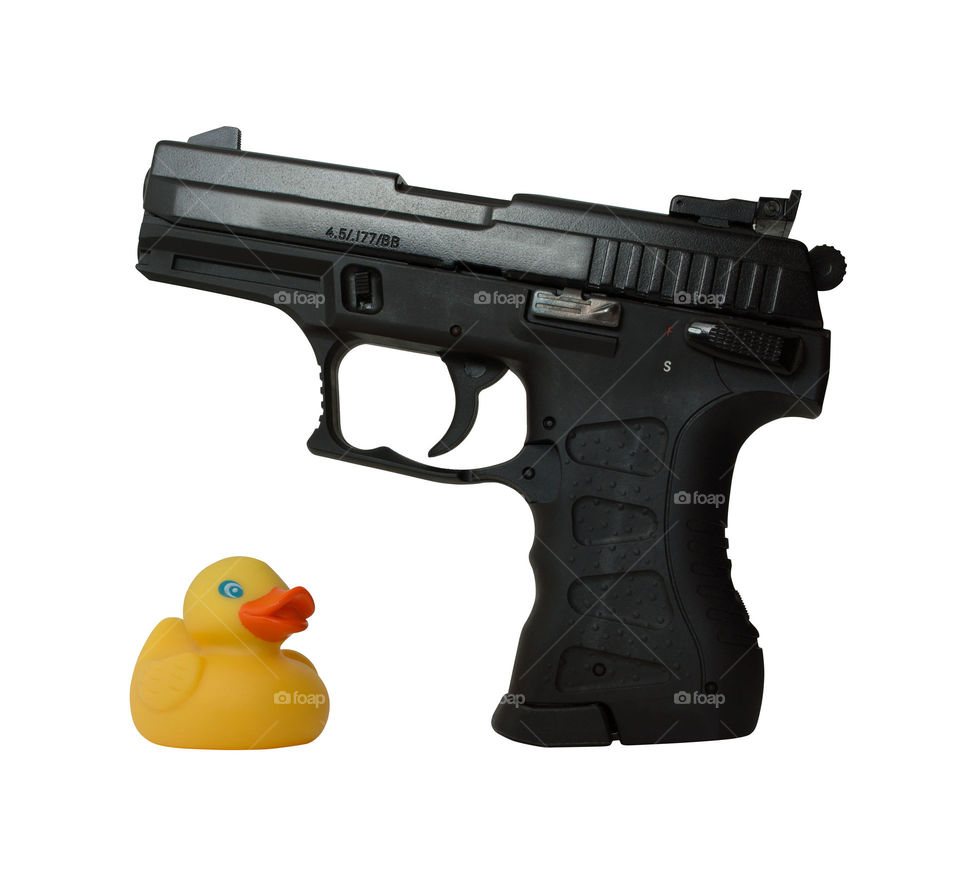 Gun and duck