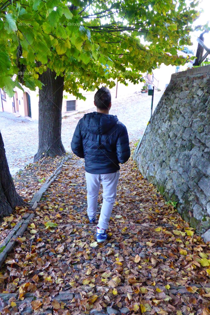 Street Made of leafs. Street Made of leafs