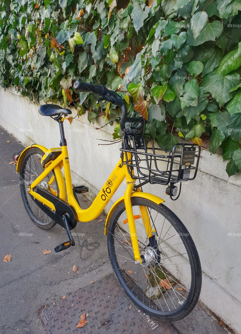 Yellow Bicycle