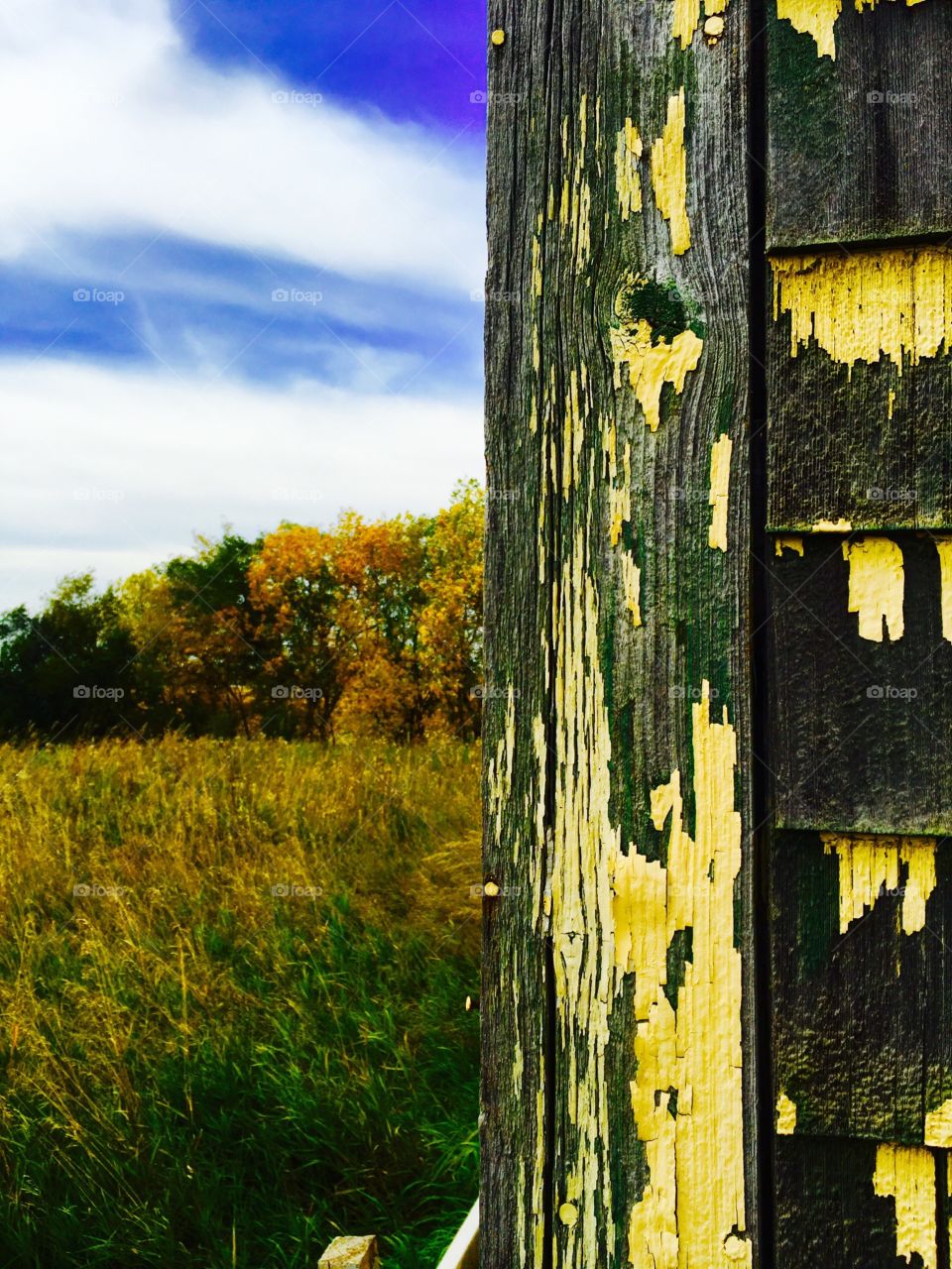 Rustic peeling painted old house 