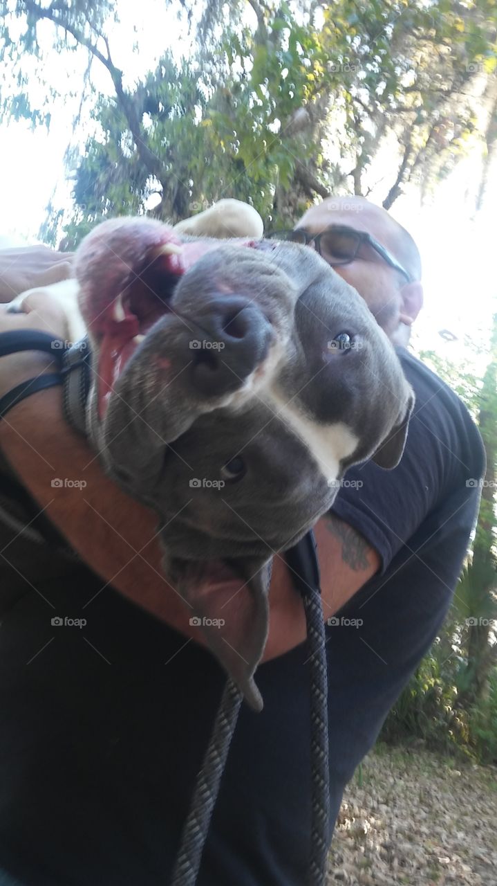 Pitbull Says Cheese!!!