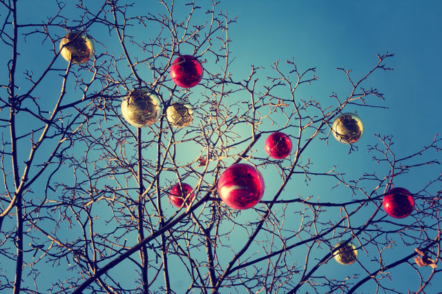 Christmas bauble hang on bare tree