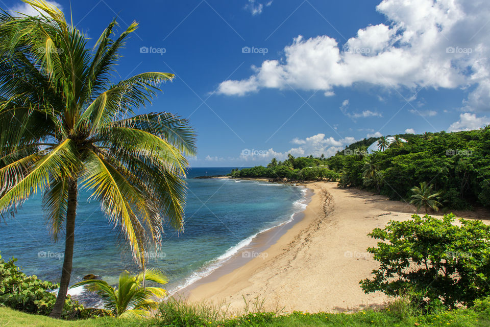 Beach from the lighthouse of Rincon