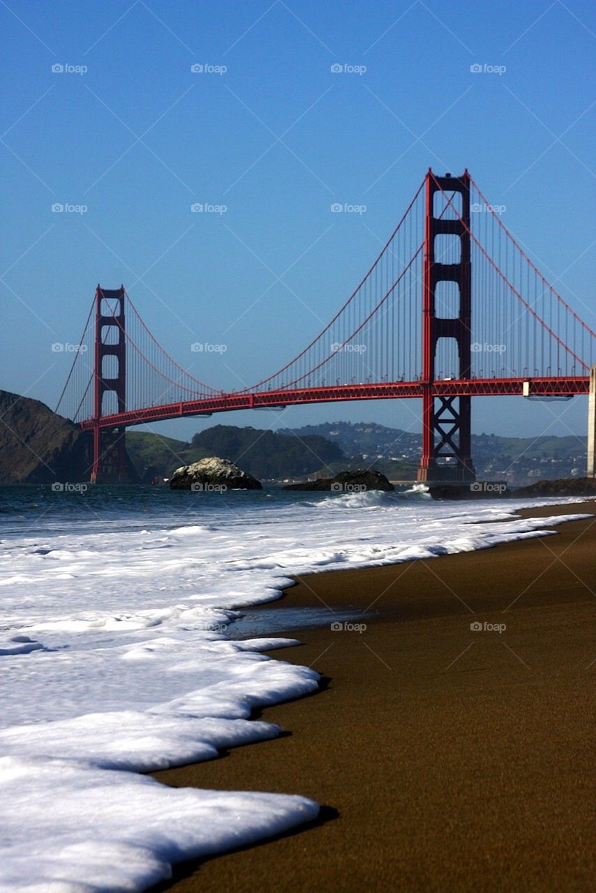 Golden Gate delight 