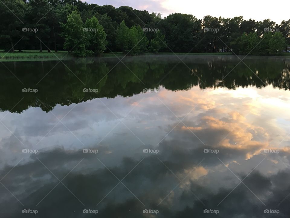 forest reflected in lake