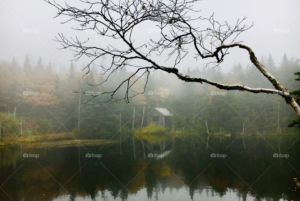 Small structure on a lake with autumn trees background taken in a complete fog