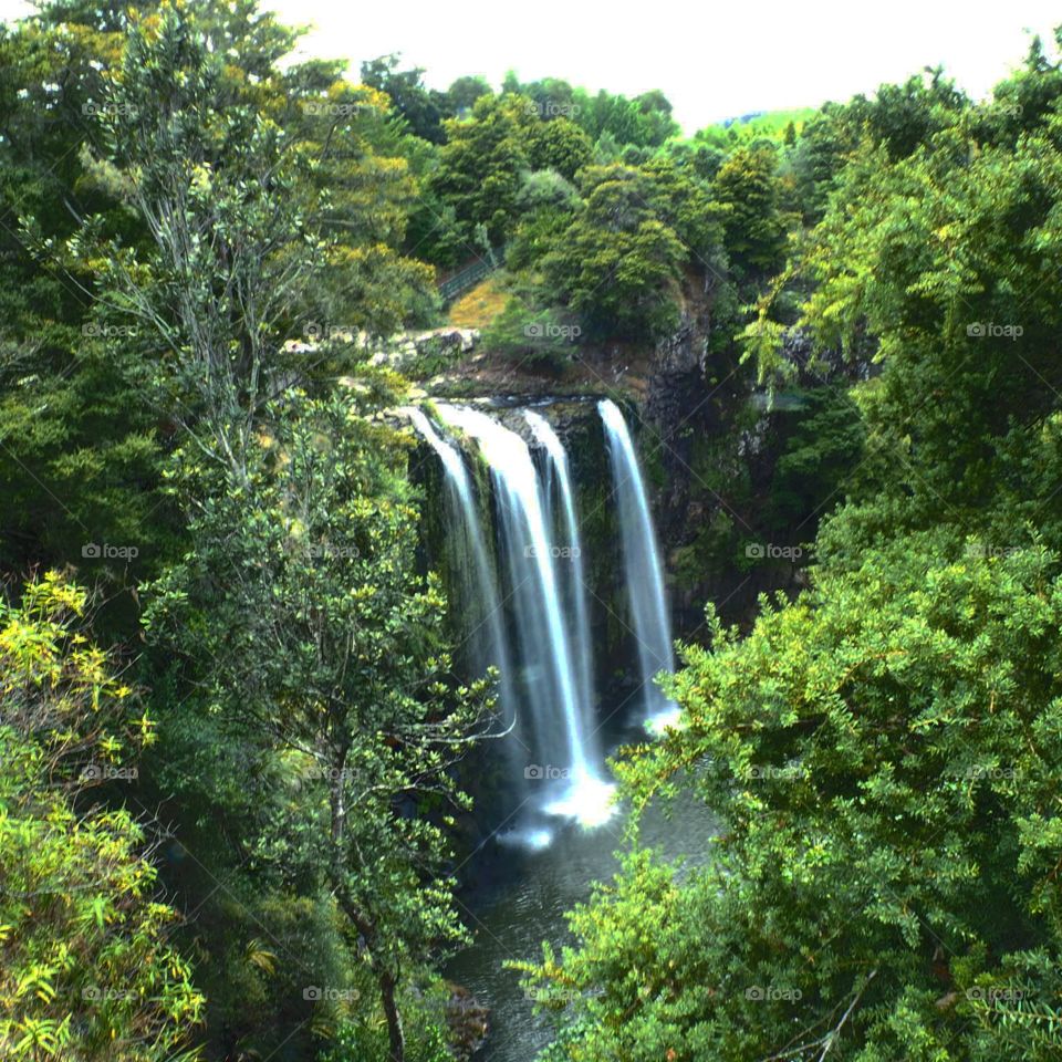 Whangarei Falls, NZ