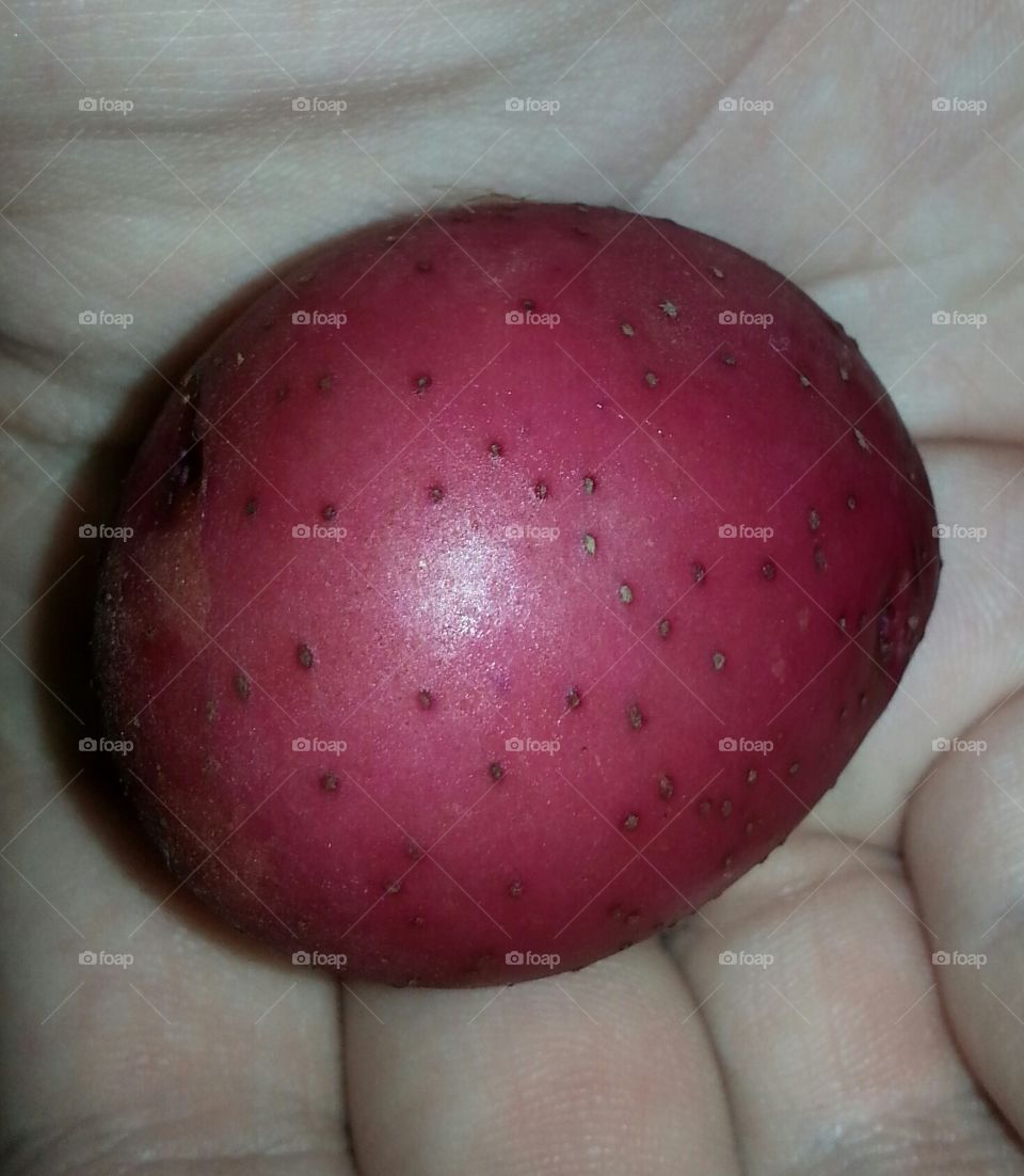 red potato