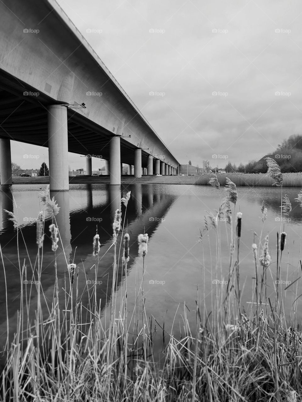 The new canal bridge, Hainaut