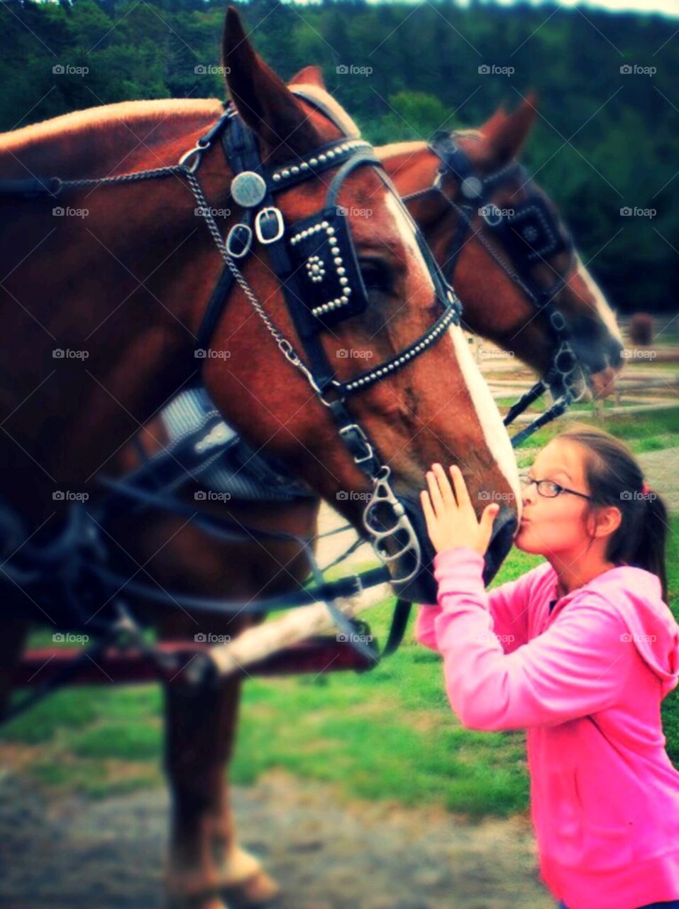 "Kisses". Girl kissing a horse 
