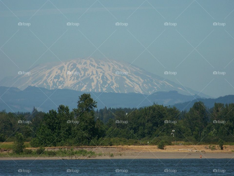 Scenic view of nature