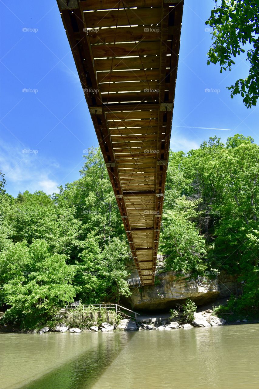 Under the. Ridge in turkey run state park in Indiana 