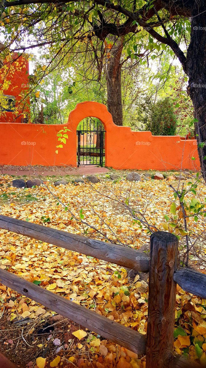Trading Post in Colorado Springs