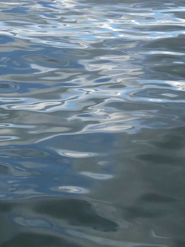 Water Reflections